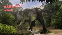 V- REX RIGGED 3D model