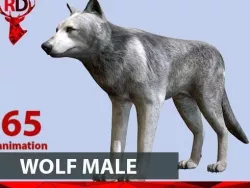 WOLF MALE full Low-poly  3D model