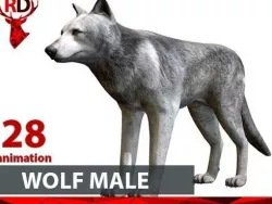 Wolf male Low-poly  3D model