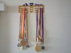 Agility medals hanger