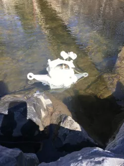 Bob, should we go fishing ?