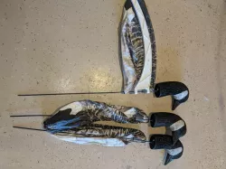 Goose Decoy knockdown conversion
