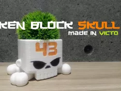 KenBlockSkull