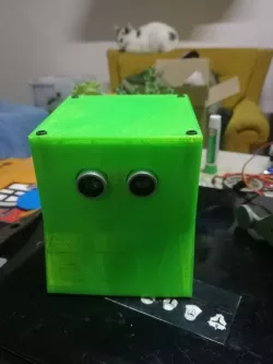Robot sumo