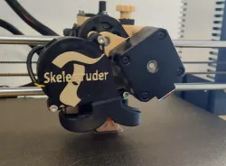 Skelestruder Fan Cover