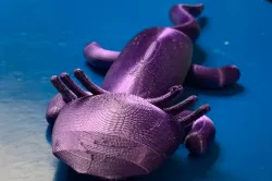 Axolotl old model