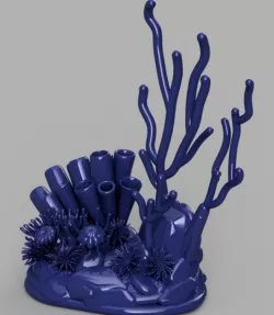 Complex Coral Reef