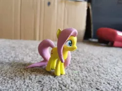 Fluttershy - My little pony