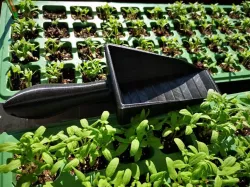 Garden Shovel