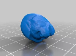 Goblin Head