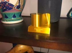 I survived 2020 Toilet Paper Trophy