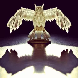 Multi-Poly Owl
