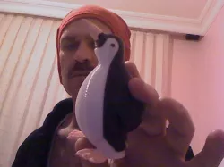 penguin (penguen)