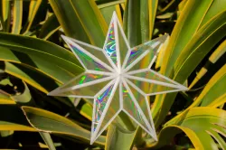 Rainbow Suncatcher 