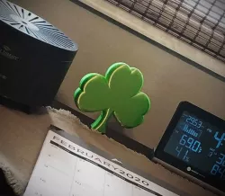 Solid Shamrock