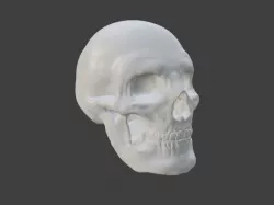 Calavera