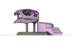 Gecko gamelle calcium / Lizard bowl calcium