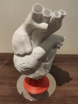 Heart Thirds with Tabs and Stand