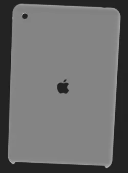 Ipad Mini case