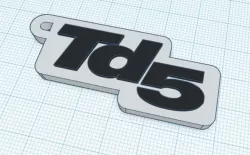 Land Rover Td5 Keyring