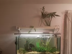 Light Bracket Aquaponics for Fish Tank
