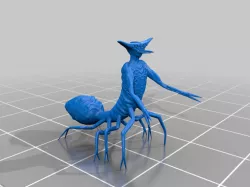 NotMyFavoriteSpider