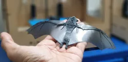 Bat for Coronavirus bats soup