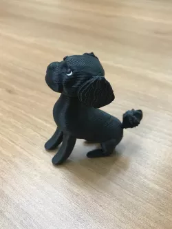 Black Poodle