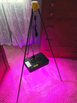 Cheap Grow Light Stand Using Plant Stakes