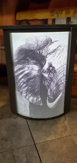 Curved Lithophane Box