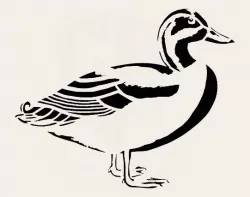 Duck stencil