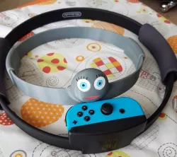 Fake Ring Fit