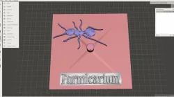 formicarium lid