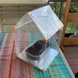 Mini Greenhouse