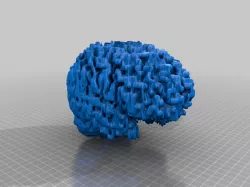 My Brain (Converted MRI Scan)