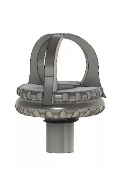 plug coraux  grosse bouture
