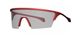 Protective Goggles (non-foldable)