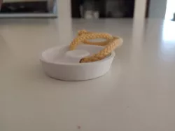 Sink Plug