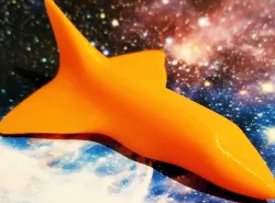 Space Shuttle
