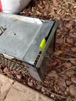 Trap Latch