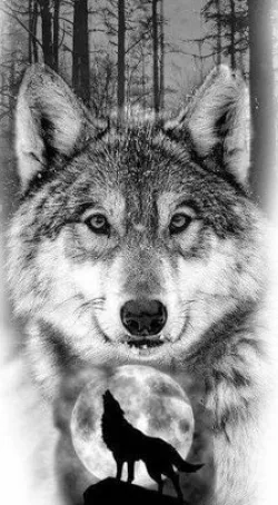 Wolf_2 nightlight lithophane