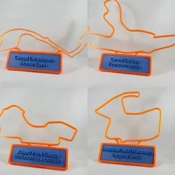 25 Race Tracks Display