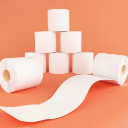 3D Printed Toilet Roll