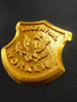 Essential worker badge
