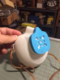 Face Mask