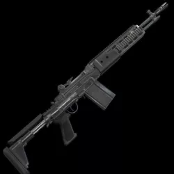 M39 Rifle Rust