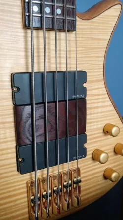 Parametric Bass Ramp - Fusion 360 and STL for Schecter Stiletto 5-String