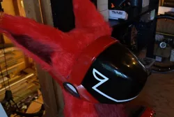 Protogen Head