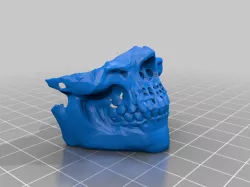 Skull Dusk Mask