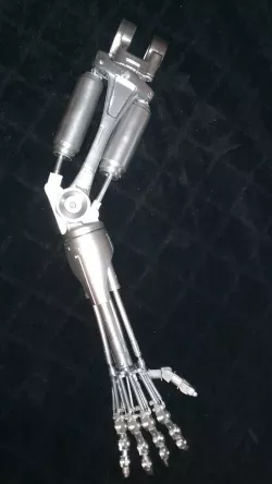 Terminator Arm